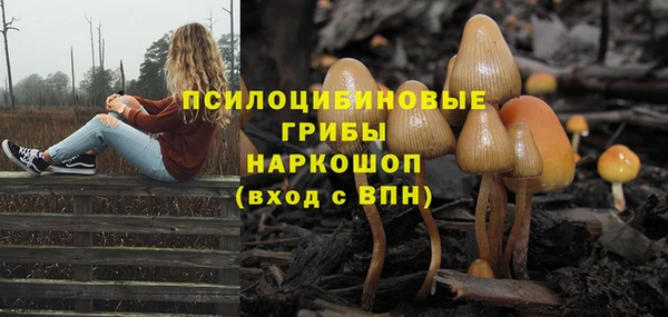 a pvp Баксан