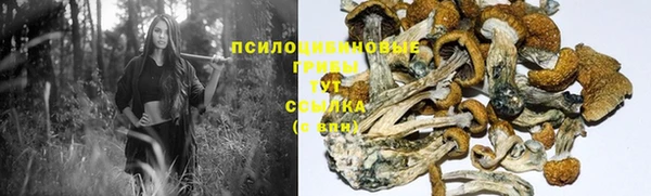 a pvp Баксан
