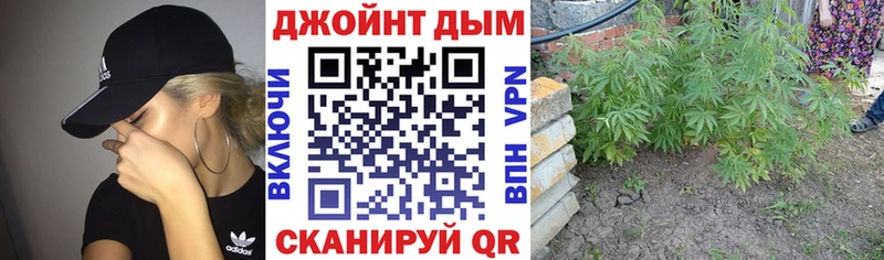 Каннабис индика  Ивангород 